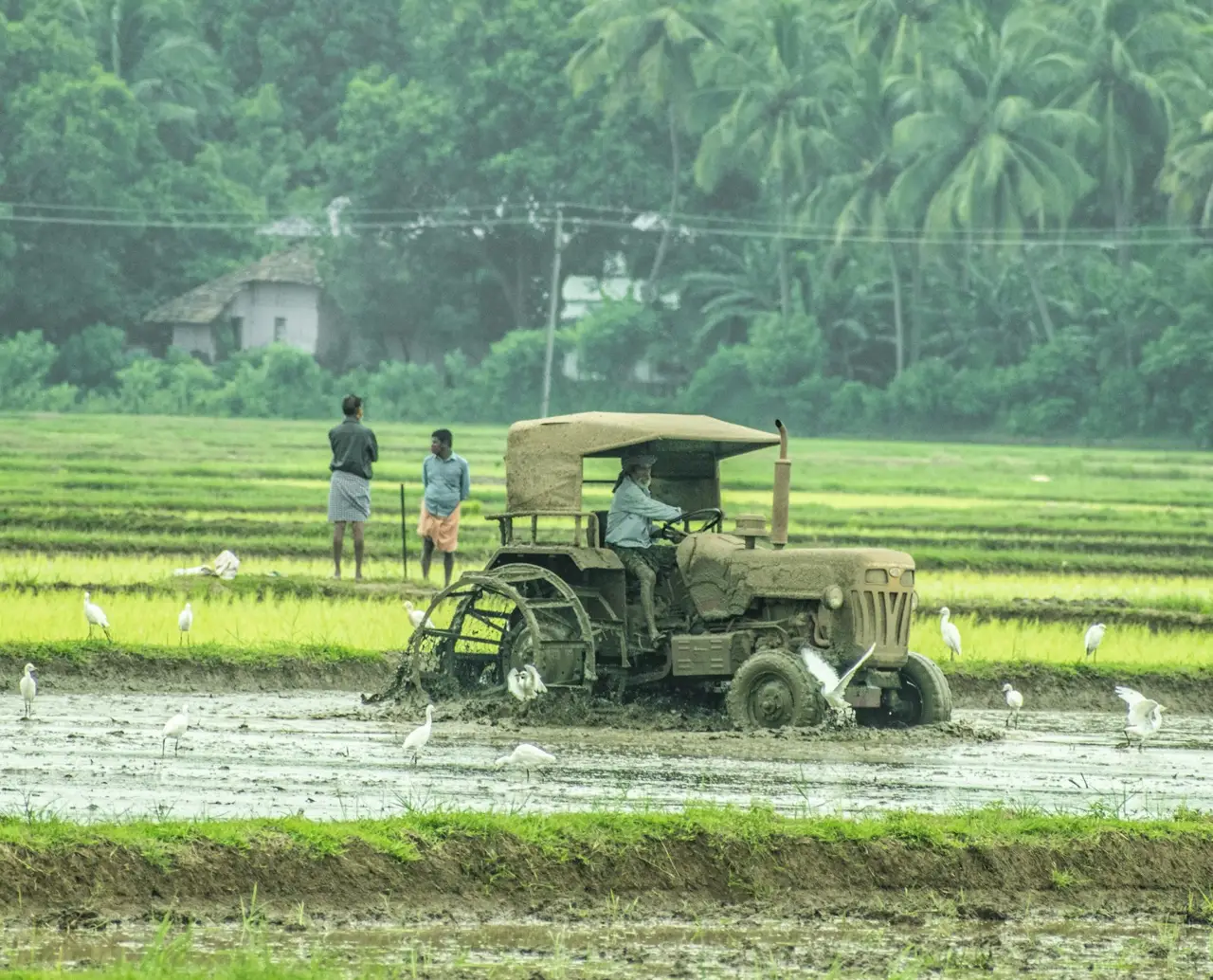 India’s Crop Protection Industry Dodges Export Curbs as UN Panel Spares Three Pesticides - Global Agriculture
