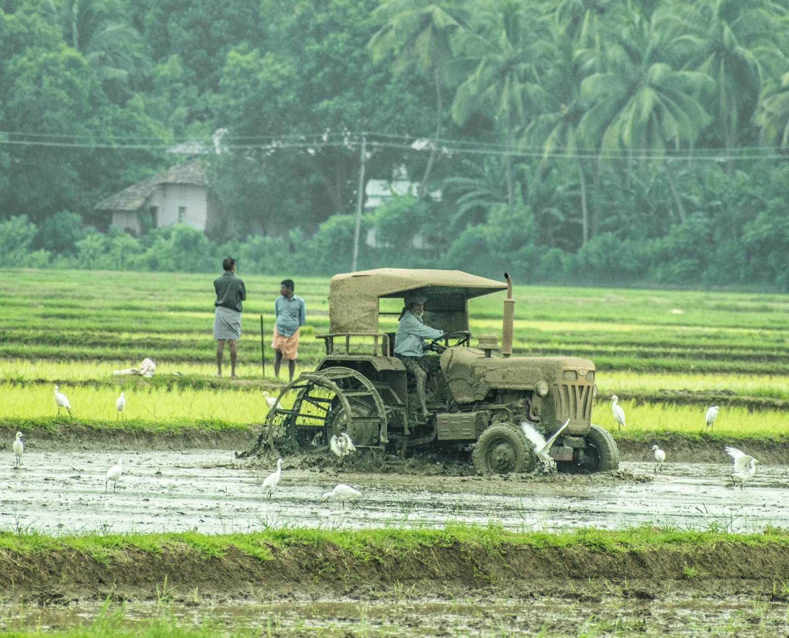 India’s Crop Protection Industry Dodges Export Curbs as UN Panel Spares Three Pesticides - Global Agriculture