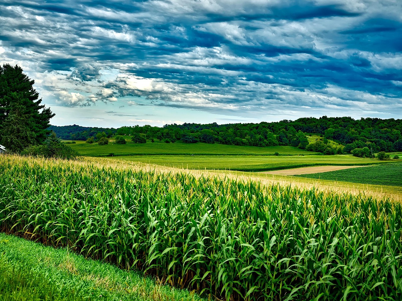 ISG Reacts to Farm Bill Advancing to Senate Floor - Illinois Soybean Association