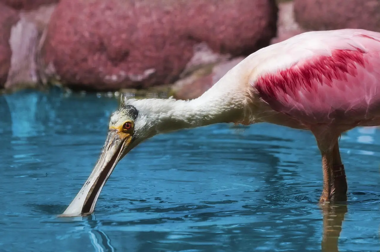 U.S. House of Representatives Advances the Farm Bill - The Nature Conservancy