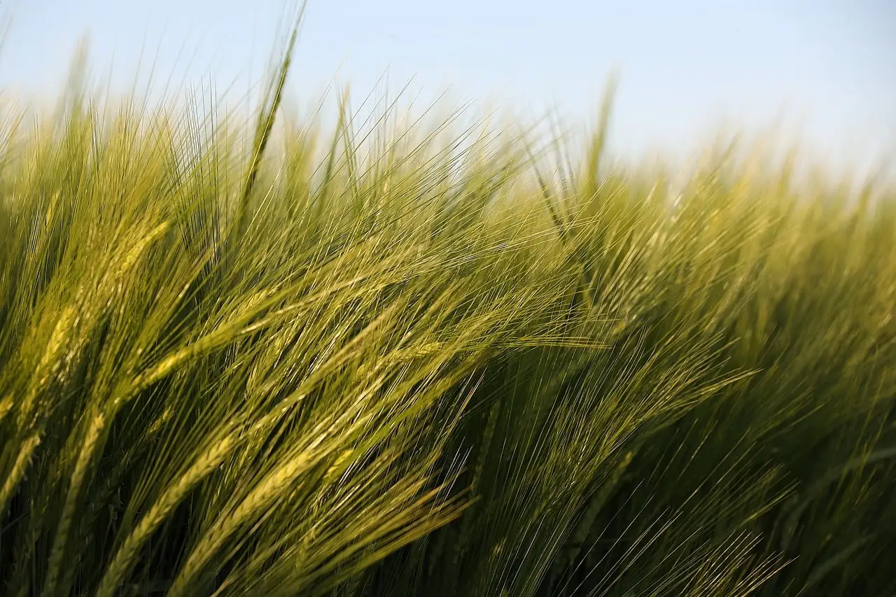 Specialty Crops Encouraged by Farm Bill’s Advance - Western Growers Association