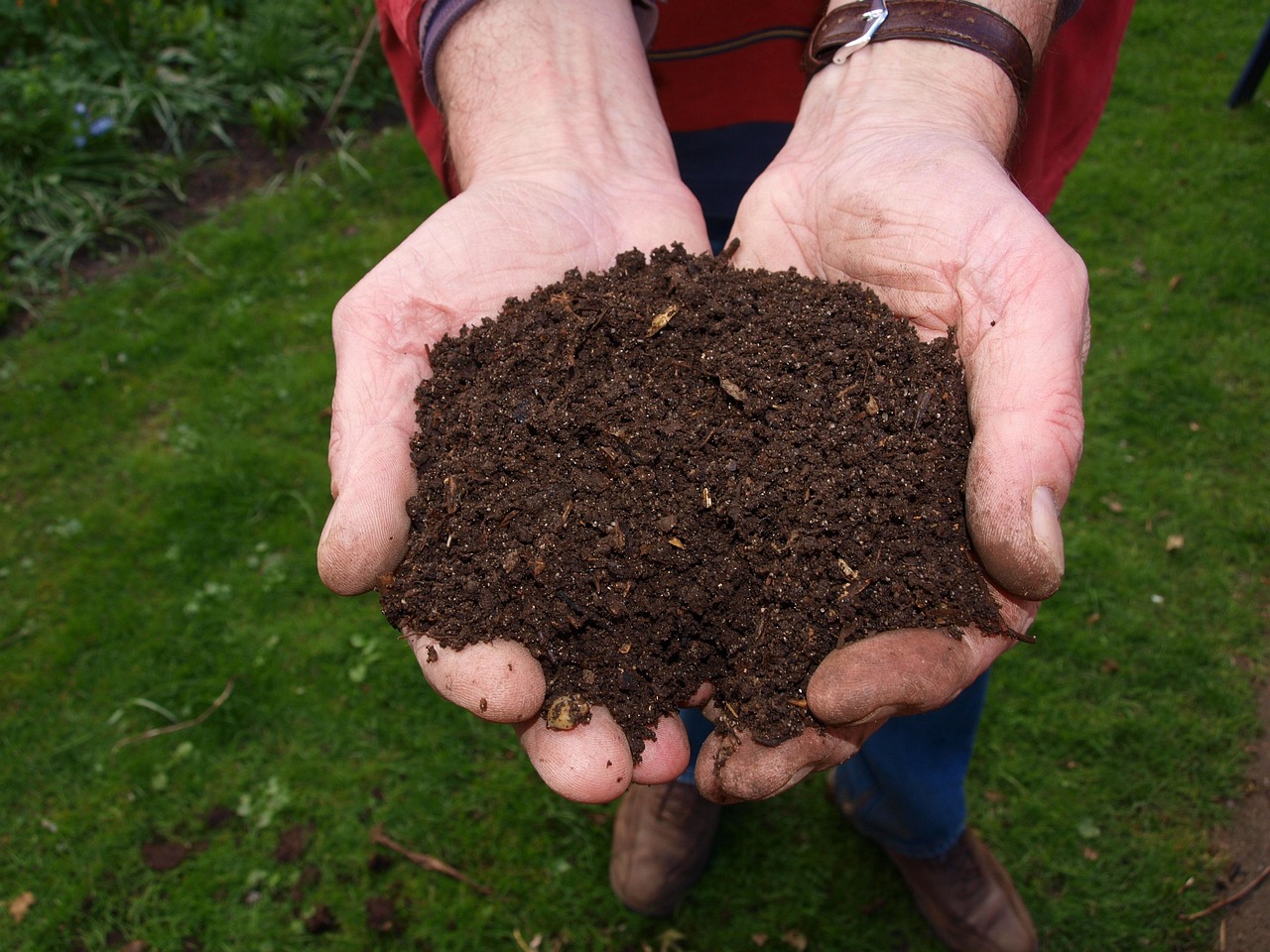 Fertilizer prices stable at onset of 2025 planting season, below highs of 2021 and 2022 | Economic Research Service - Ec