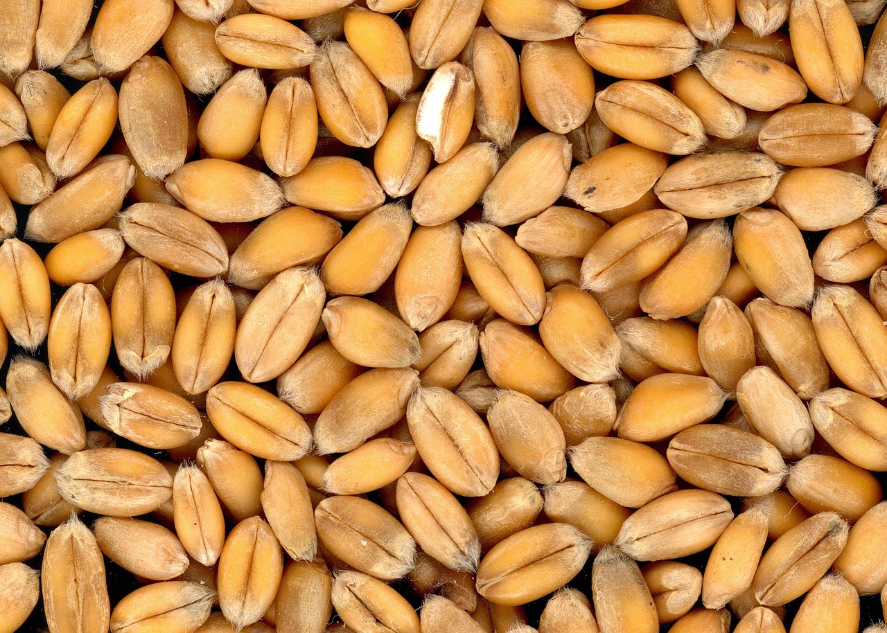 Corteva completes split of crop protection and seed businesses - Indianapolis Business Journal