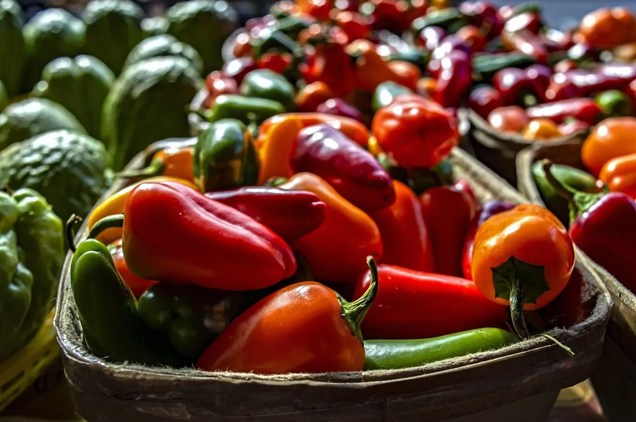 Volatile fertilizer market could change how farmers buy inputs - Brownfield Ag News