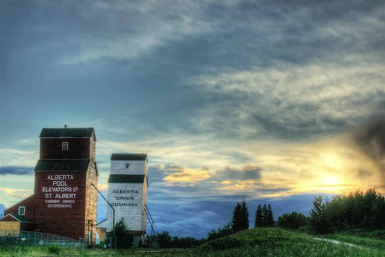 Daily Grain Prices in Western Canada - Country Guide