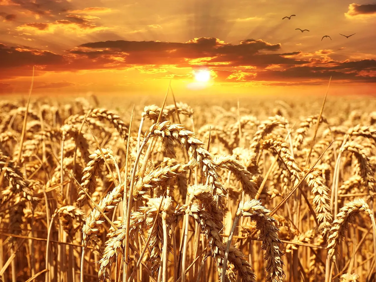 Farm & Commodity Policy - Farm Bill Spending - USDA (.gov)