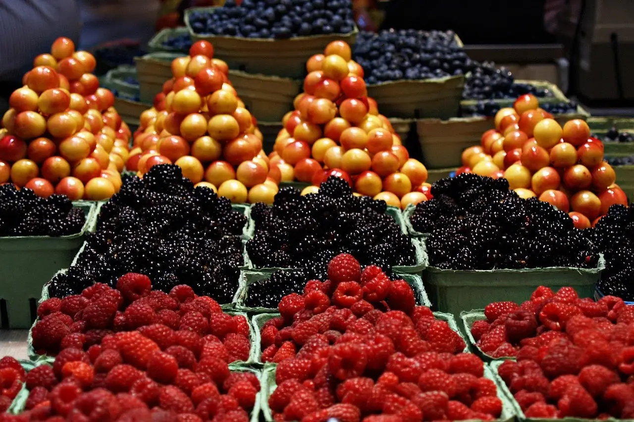 Opinion: Four ways to more markets, lower costs and better science for American farmers