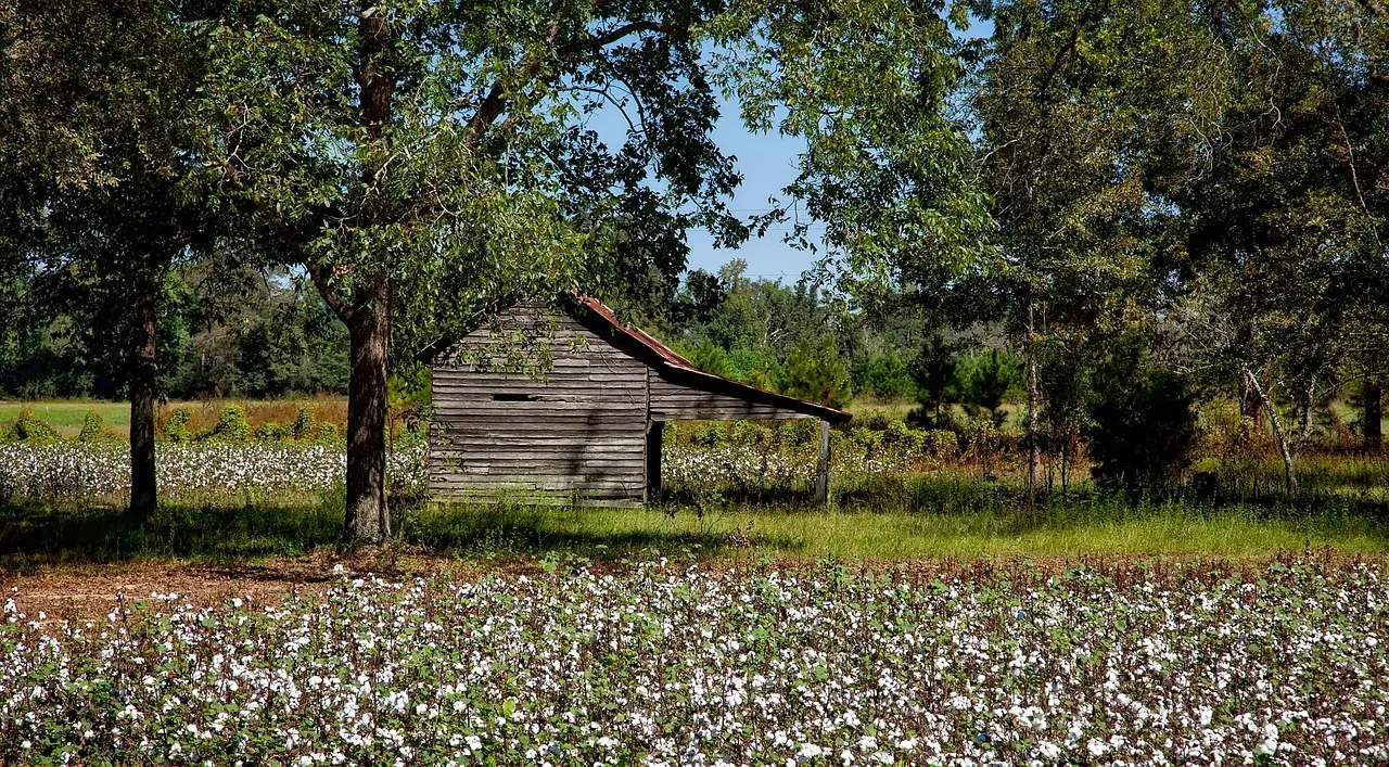 Figures, Marques trade blame over farm bill in Alabama congressional race - Fox 10 News