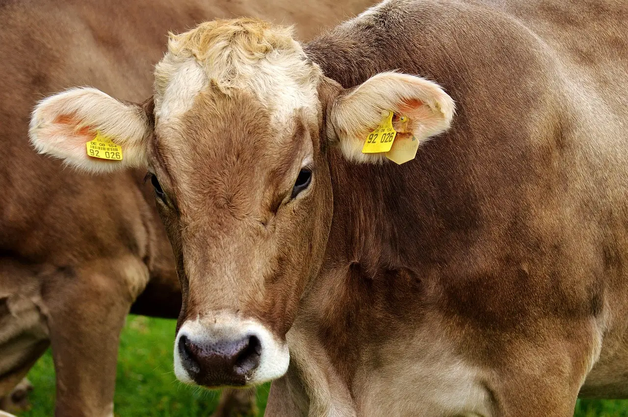 USDA Trade Mission Boosts Farm Exports to Philippines - Farms.com